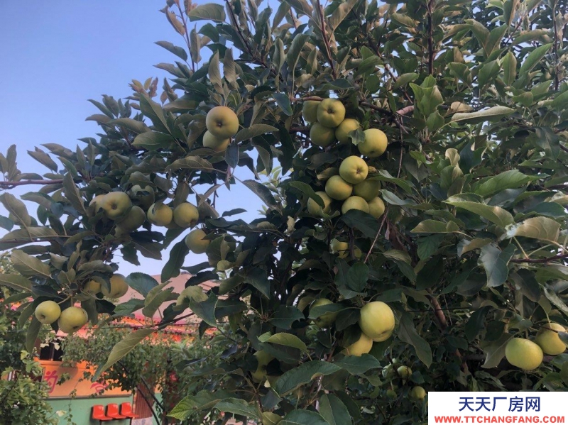 邯郸 邯山 可，可办公，位置优越，附近多家医院，超市，广场