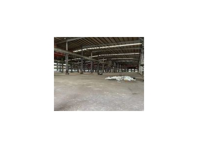 (出租) 奉贤大房东 柘林40000 生产研发仓库电商 有税 超大空地图3