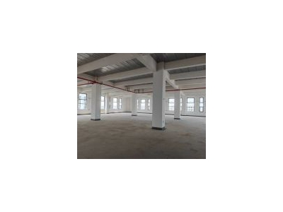 (出租)奉贤 金地集团 全新高品质产业园，集生产研发适合企业总部图1