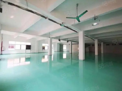 威海环翠现房出售 面积1200平至4000平可选 可生产环评首付两成图1