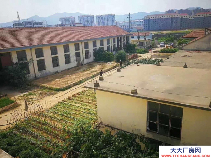 威海环翠 张村仓库一楼二楼低价出租