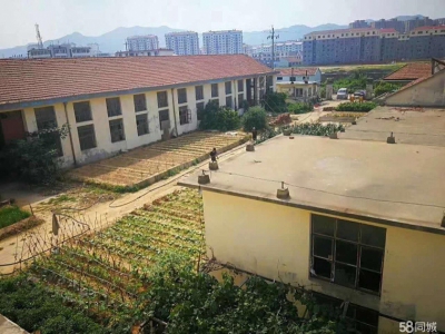 威海环翠 张村仓库一楼二楼低价出租图1