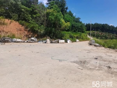 邵阳市北塔县 全部是弓子钢结构，有独立专变图2