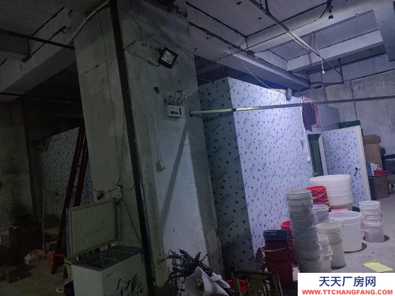 邯郸 丛台  主要转让40平米冷库仓库140平米