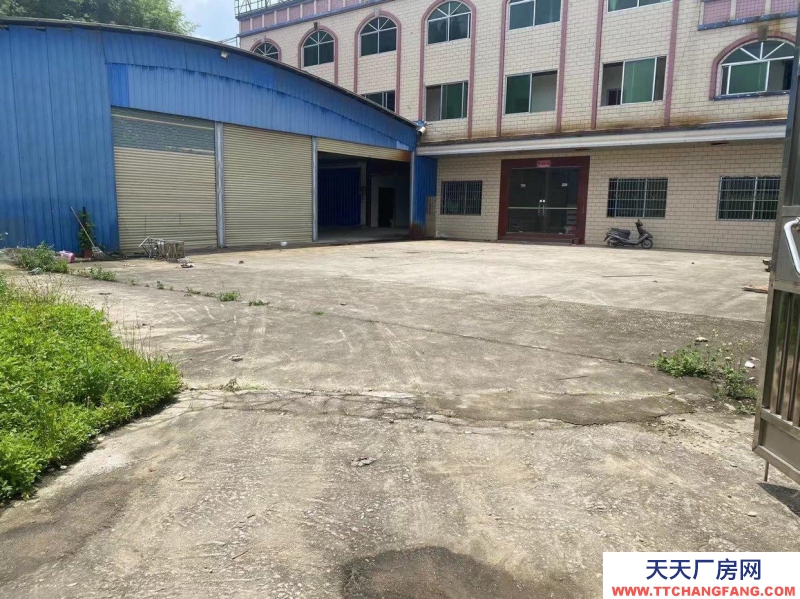 (出租) 广州肇庆原房东招租，无中介，交通便利！