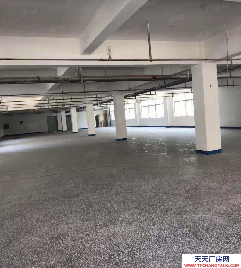 温州瑞安(出售) 房东诚心出售瑞安陶山6亩建筑证4000平方独门独院厂房形象好