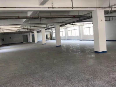 温州瑞安(出售) 房东诚心出售瑞安陶山6亩建筑证4000平方独门独院厂房形象好图2