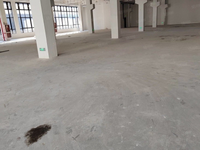 温州瑞安(出售) 诚售仙岩工业区独门独院10000平方位置好集团形象图2
