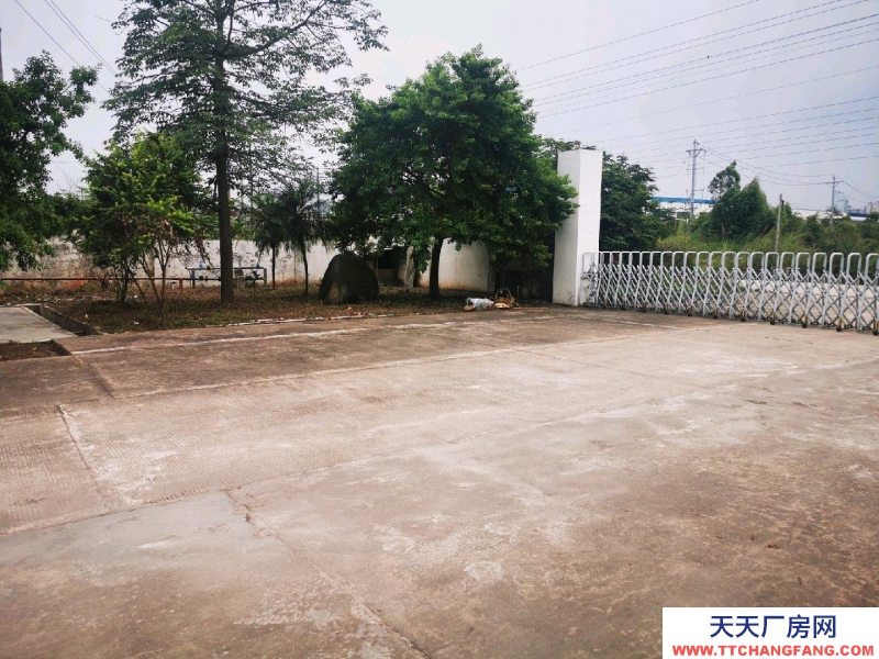 (出租) 广州肇庆厂房空地多，具体详情请面议。