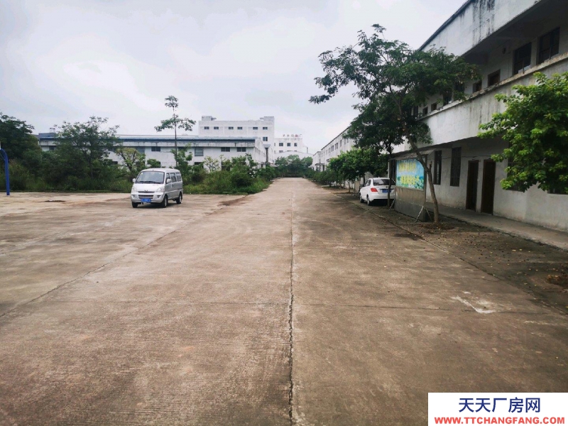 (出租) 广州肇庆厂房空地多，具体详情请面议。
