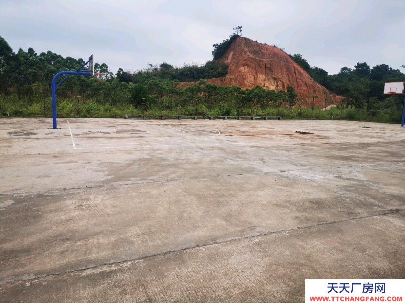 (出租) 广州肇庆厂房空地多，具体详情请面议。