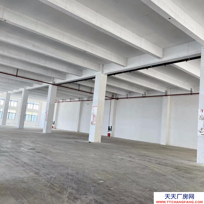 (出租) 柳州柳南河西工业园螺蛳粉孵化园一楼2200平标准厂房