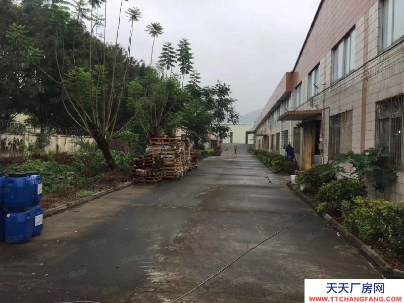 (出租) 广州肇庆高要国道边可办环评交通便利单一层厂房