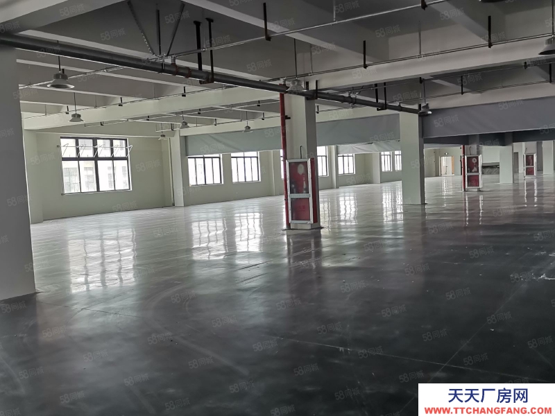 温州乐清(出租) 中心大道边上标准厂房，形象佳，院子大