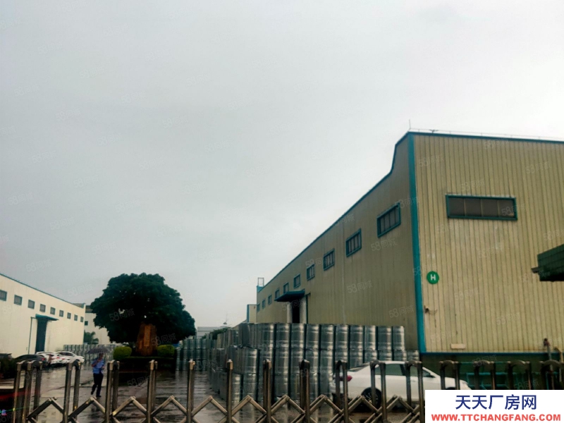(出售) 广州肇庆高要区蚬岗镇低价厂房出售