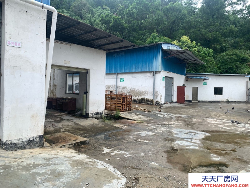 (出售) 广州肇庆高要南岸西环山边 厂房出售 价格便 位置靓