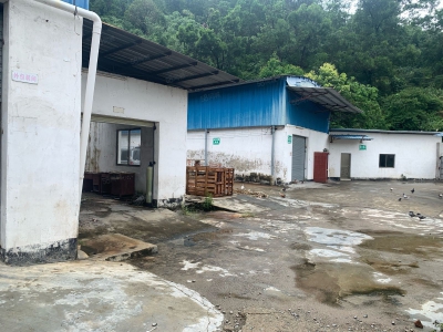 (出售) 广州肇庆高要南岸西环山边 厂房出售 价格便 位置靓图1