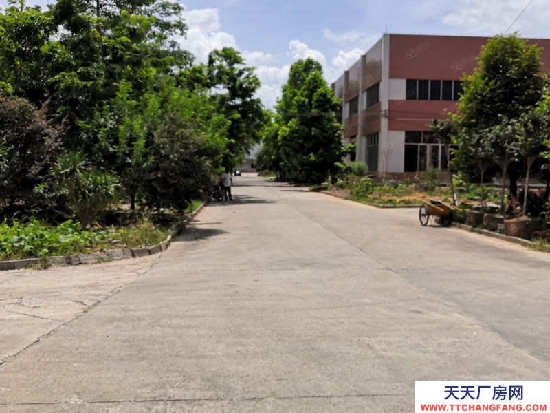 (出售) 广州肇庆德庆厂房带租约出售，价格美丽