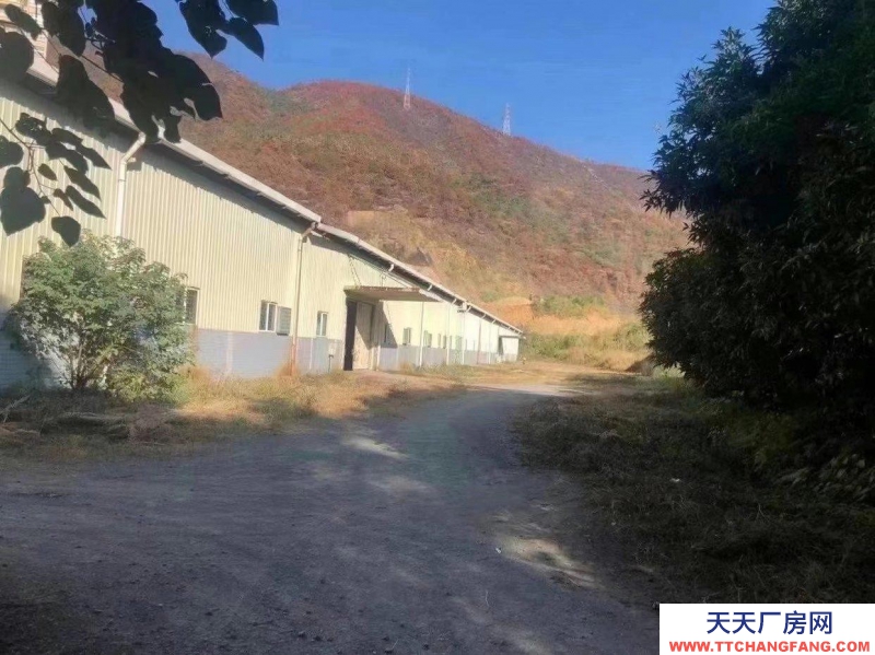 (出租) 广州肇庆可以分租，性价比高，高品质实用新型设计
