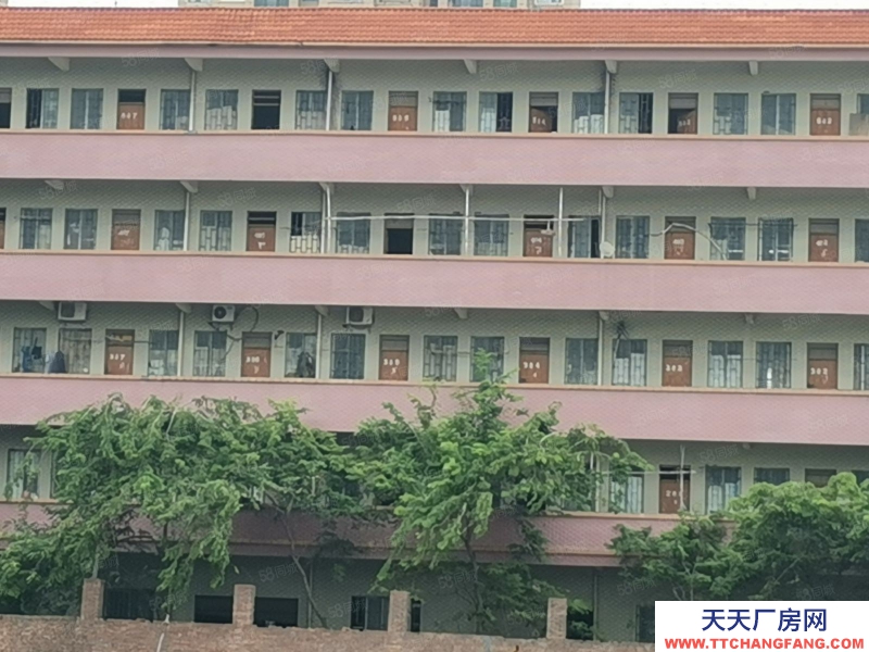 (出租) 广州肇庆四会南江工业园标准物流园仓库出租