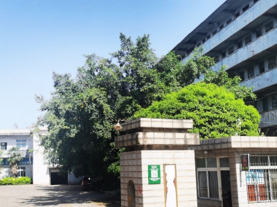 (出租) 柳州柳北区洛维工业区1900平2500平2100平1500平招租。图2