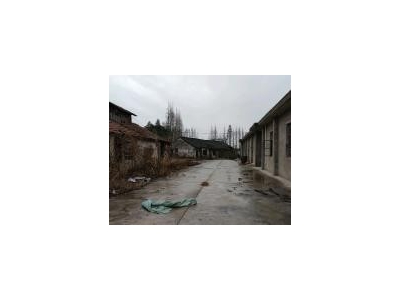 (出售) 崇明区新河镇新隆村厂房图2
