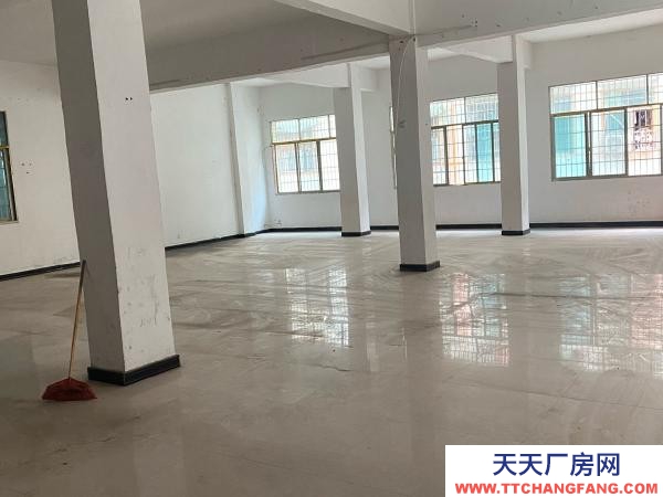 邵阳市武冈区，全框架结构。四面采光！
