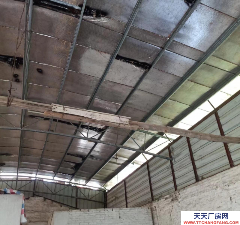 (出租) 广州肇庆高要白土富鸿富煤站侧位置