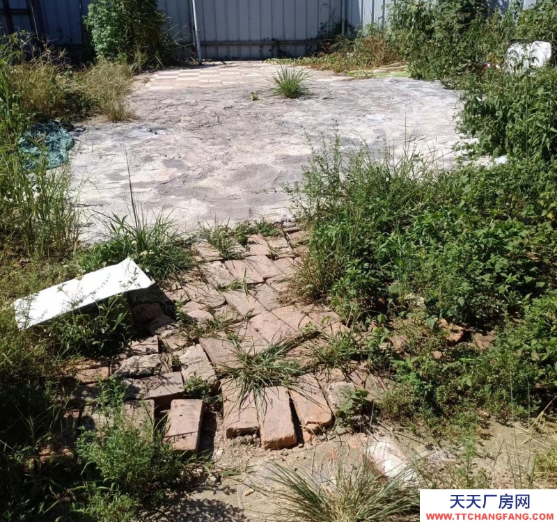 (出租) 广州肇庆高要白土富鸿富煤站侧位置