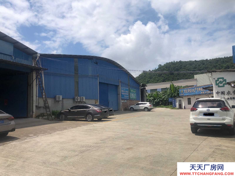(出租) 广州肇庆高要区南岸街道标准仓库