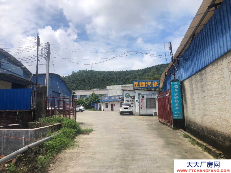 (出租) 广州肇庆高要区南岸街道标准仓库