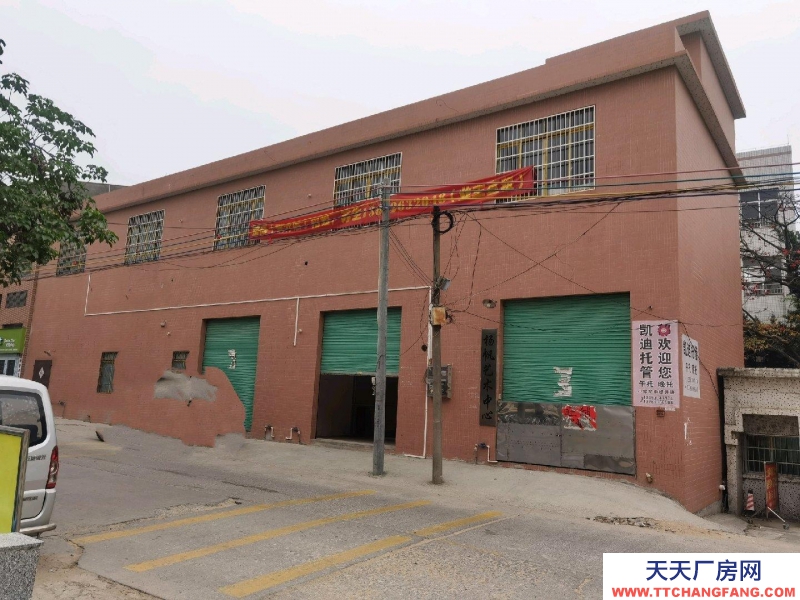 (出租) 广州肇庆高要金利海口（金利中心小学高校区东侧）整栋物业出租