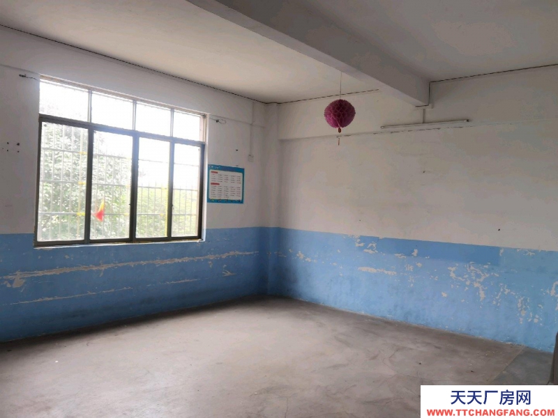 (出租) 广州肇庆高要金利海口（金利中心小学高校区东侧）整栋物业出租