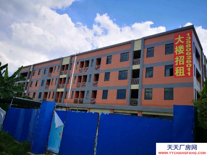 (出租) 广州肇庆高要南岸街道4800方4层带电梯仓库可分租