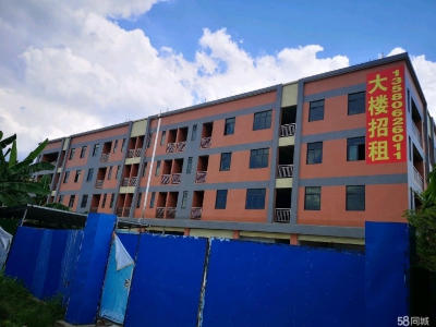 (出租) 广州肇庆高要南岸街道4800方4层带电梯仓库可分租图1