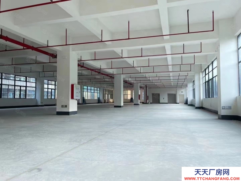 (出租) 清远清城区石角带印刷环评高标厂房出租