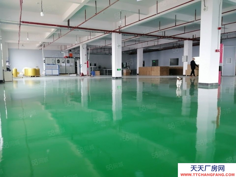 (出租) 清远清城区石角带印刷环评高标厂房出租
