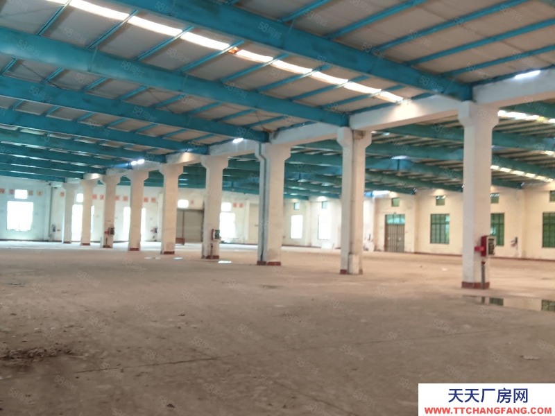 (出租) 清远清新市中心，大路边，单层厂房，砖混结构，方正实用