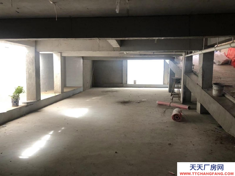 (出租) 出入方便 门口宽敞