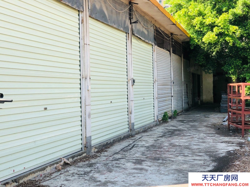 (出租) 清远市区，独门独院，单层厂房，4500方仅2.5万