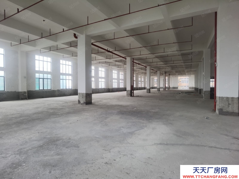 (出租) 清远市清新区太平镇电渡 电泳 退渡工业园厂房出租 有电渡环评