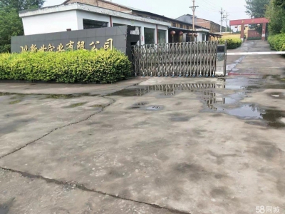 邯郸 复兴  1个独立厂房300平图1