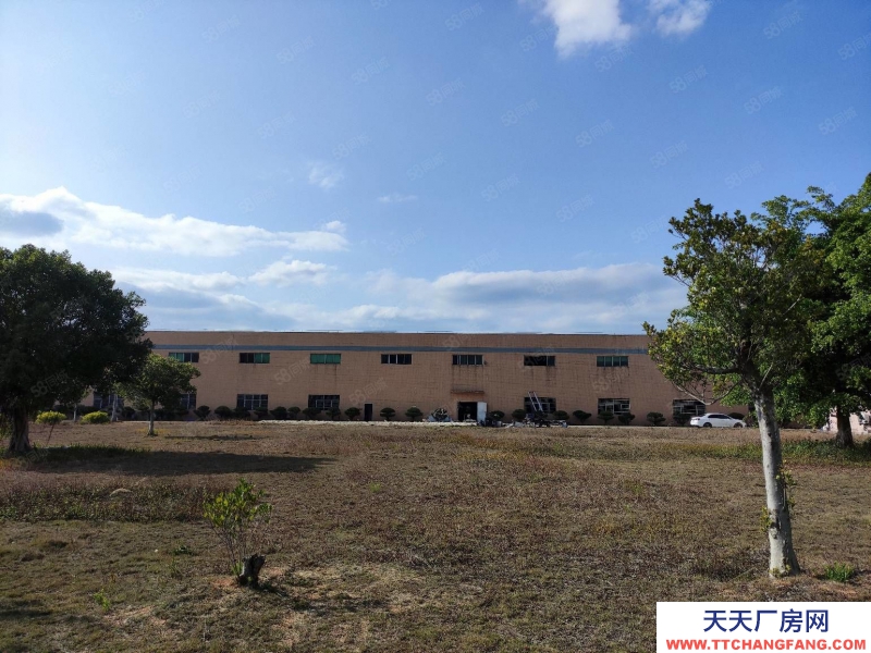 (出租) 清远佛冈形象好40000方砖墙10米,可做污染企业分租