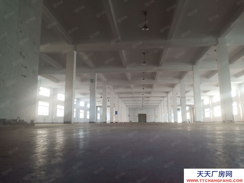 嘉兴秀洲(出租) 水果建材市场附近500至10000平厂房仓库出租