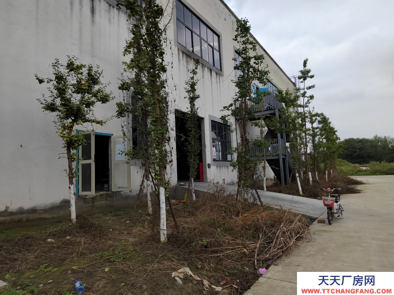 成都周边标准厂房出租32000平米（可分租）