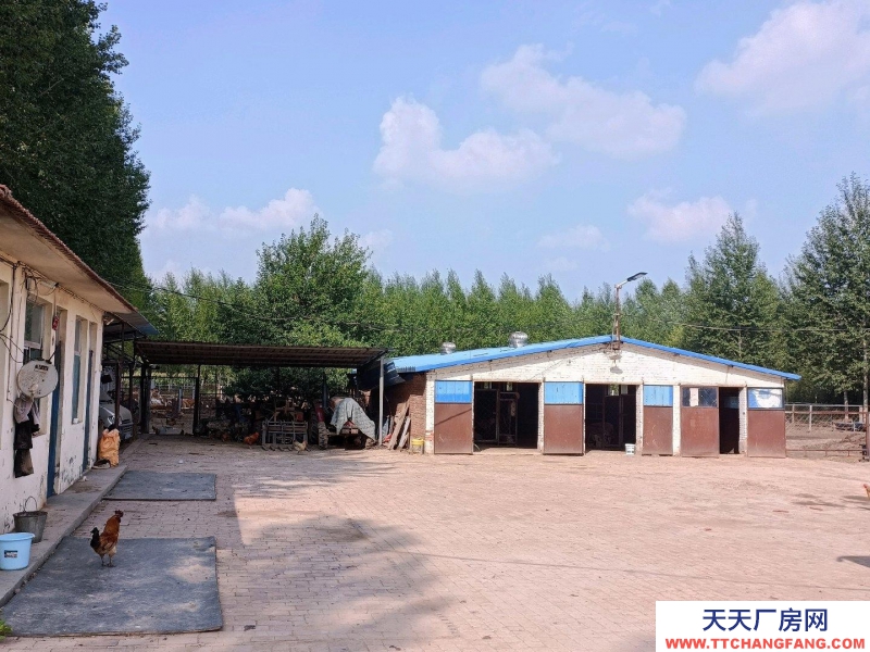 (出租) 养殖场在榆社县和平村。养殖业优选，方便养殖牛羊