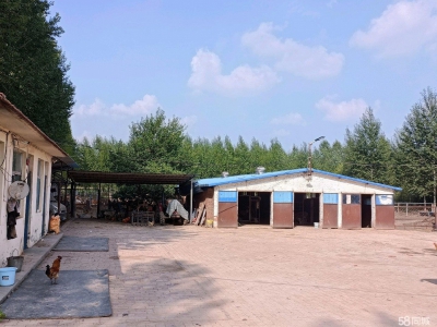 (出租) 养殖场在榆社县和平村。养殖业优选，方便养殖牛羊图2