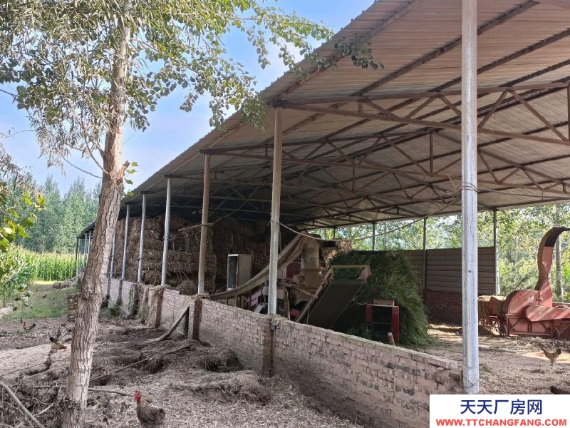 (出租) 养殖场在榆社县和平村。养殖业优选，方便养殖牛羊