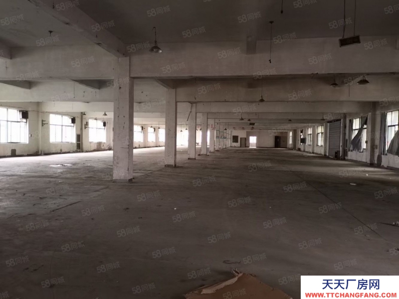 嘉兴秀洲(出租) 高照街道 底楼500平 可做各类仓储 小生产 门口好停车