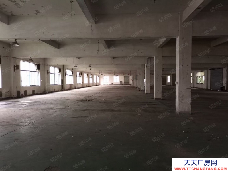 嘉兴秀洲(出租) 高照街道 底楼500平 可做各类仓储 小生产 门口好停车